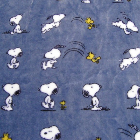 Peanuts Snoopy & Woodstock Throw Blanket Berkshire Velvet Soft Plush Blue 50x70\